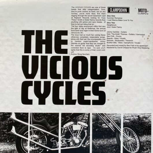 The Vicious Cycles Cover The Stones And Help Feed The Hungry