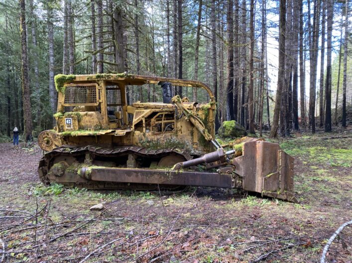 Found Along The Trail: McKenzie River Trail