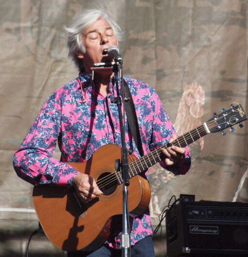 You Gotta Hear This: Robyn Hitchcock